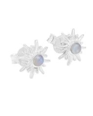 Natural Arizona Turquoise Sterling Silver Stud Earrings for Women