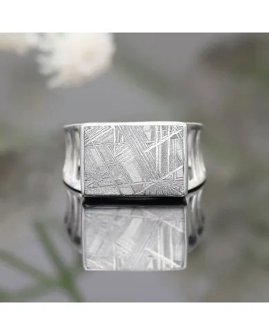Meteorite Ring - Sterling Silver Statement Handmade Ring for Him