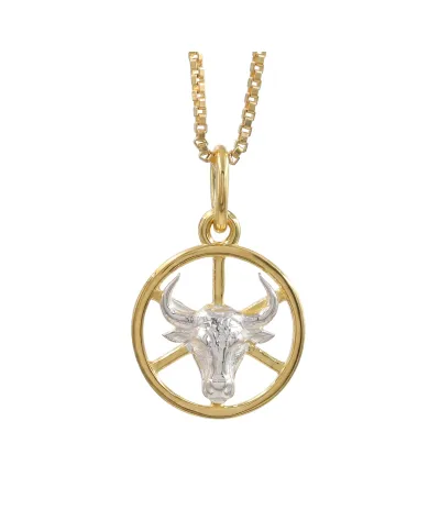 18K Gold Plated Taurus Zodiac Pendant | Sterling Silver Astrology Gift