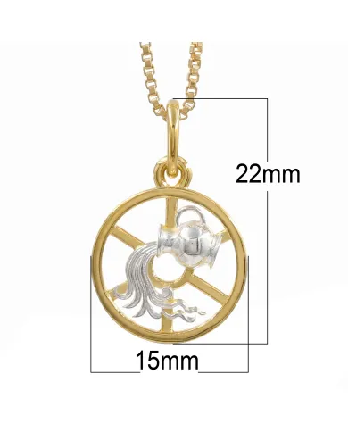 Aquarius Zodiac Pendant | 18K Gold-Plated Two-Tone Astrology Jewelry