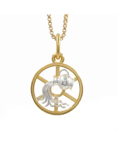 Aquarius Zodiac Pendant | 18K Gold-Plated Two-Tone Astrology Jewelry