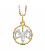 Capricorn Zodiac Sign Pendant 18K Gold Plated Two Tone Silver Jewelry