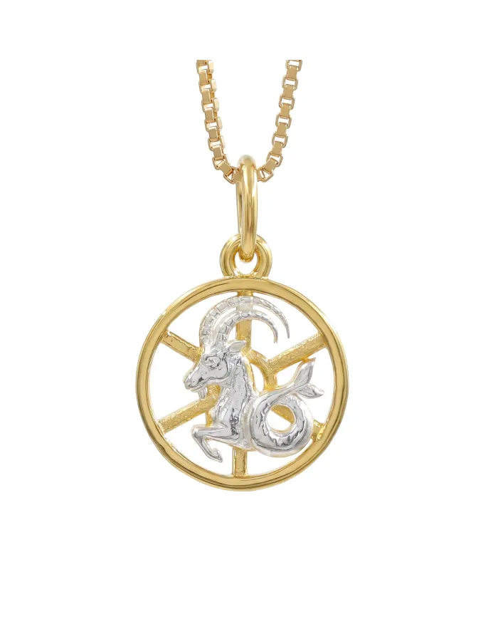 Capricorn Zodiac Sign Pendant 18K Gold Plated Two Tone Silver Jewelry