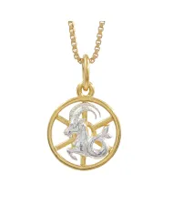 Capricorn Zodiac Sign Pendant 18K Gold Plated Two Tone Silver Jewelry