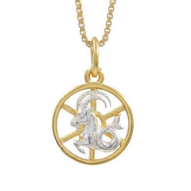 Capricorn Zodiac Sign Pendant 18K Gold Plated Two Tone Silver Jewelry