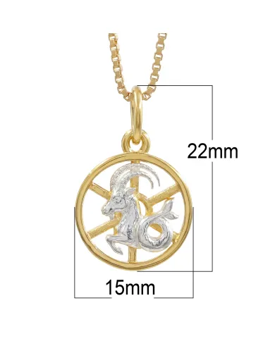 Capricorn Zodiac Sign Pendant 18K Gold Plated Two Tone Silver Jewelry