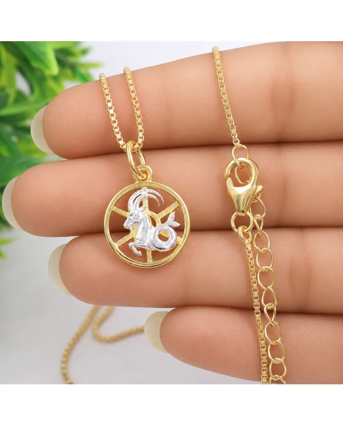 Capricorn Zodiac Sign Pendant 18K Gold Plated Two Tone Silver Jewelry