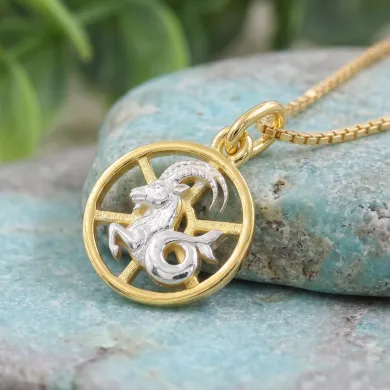 Capricorn Zodiac Sign Pendant 18K Gold Plated Two Tone Silver Jewelry